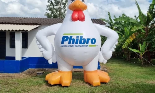 Ad Balões 32 MASCOTES INFLÁVEIS-2